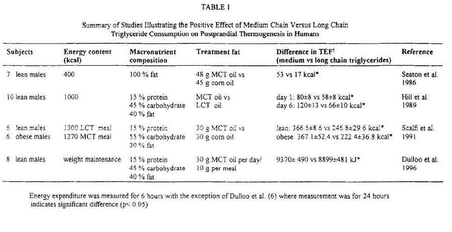 MCT und Thermogenese