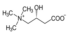 Carnitin chemische Struktur