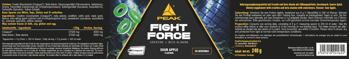 Fight Force
