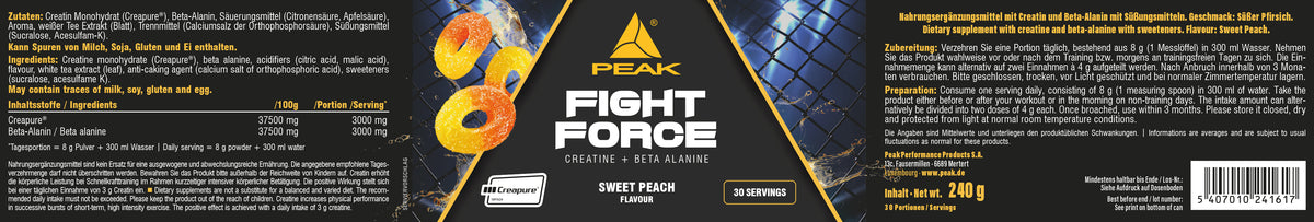 Fight Force