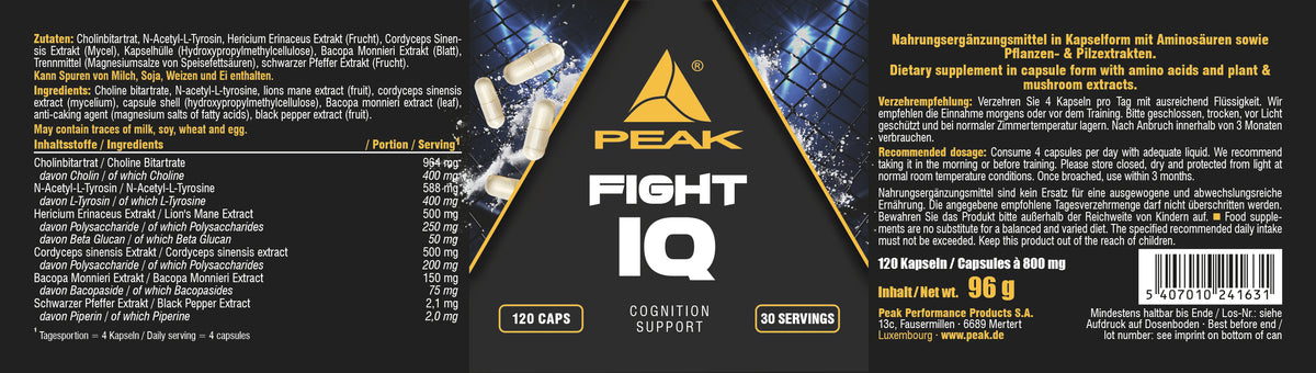 Fight IQ