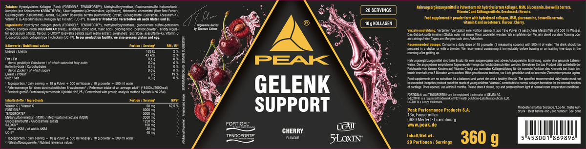Gelenk Support