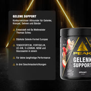 Gelenk Support