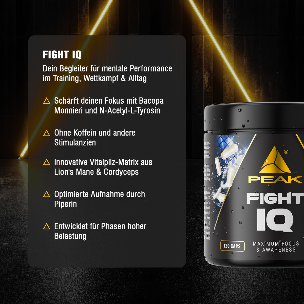 Fight IQ