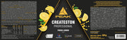 Createston Professional