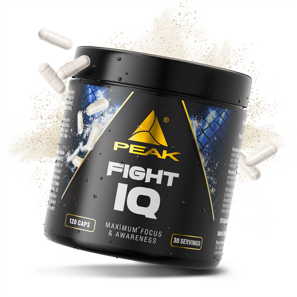 Fight IQ