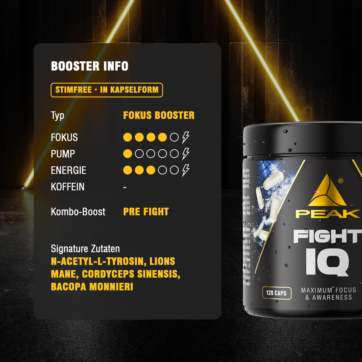 Fight IQ