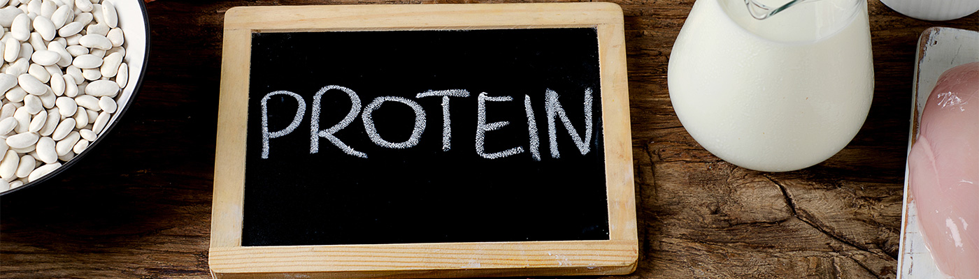 eiweiss-protein-blog