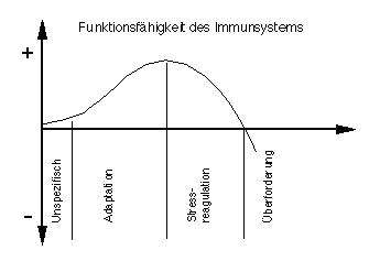 Darstellung Funktionsfähigkeit Immunsystem Belastung