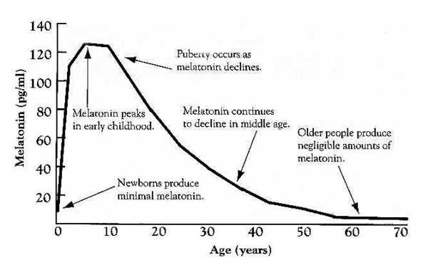 Darstellung Syntheseverlauf im Alter Melatonin