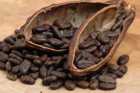 Schokolade Kakao Antioxidantien