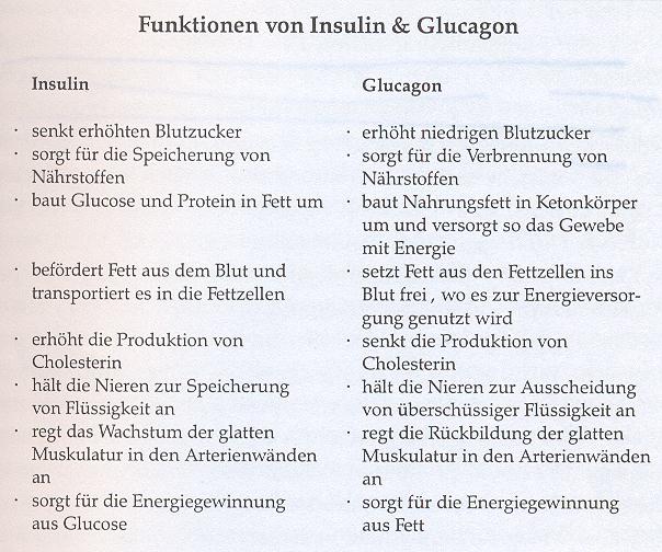 Darstellung Insulin Glucagon