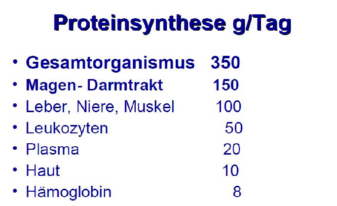 Darstellung Menge der Proteinsynthese