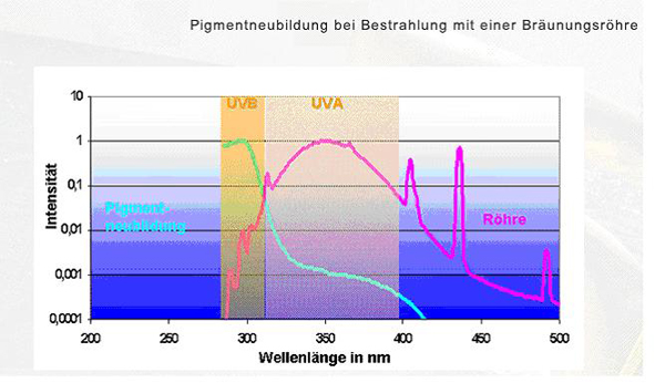 Pigmentbildung bei UV-B Strahlung
