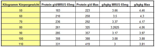 Protein MRUS