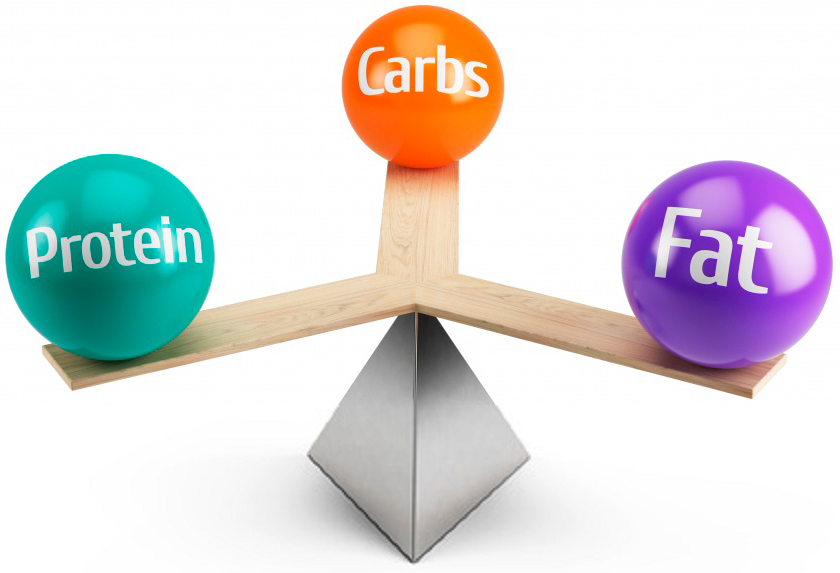 Nutrition Timing: Wann sollte man was konsumieren?