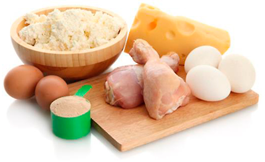 Proteinquellen-Lebensmittel